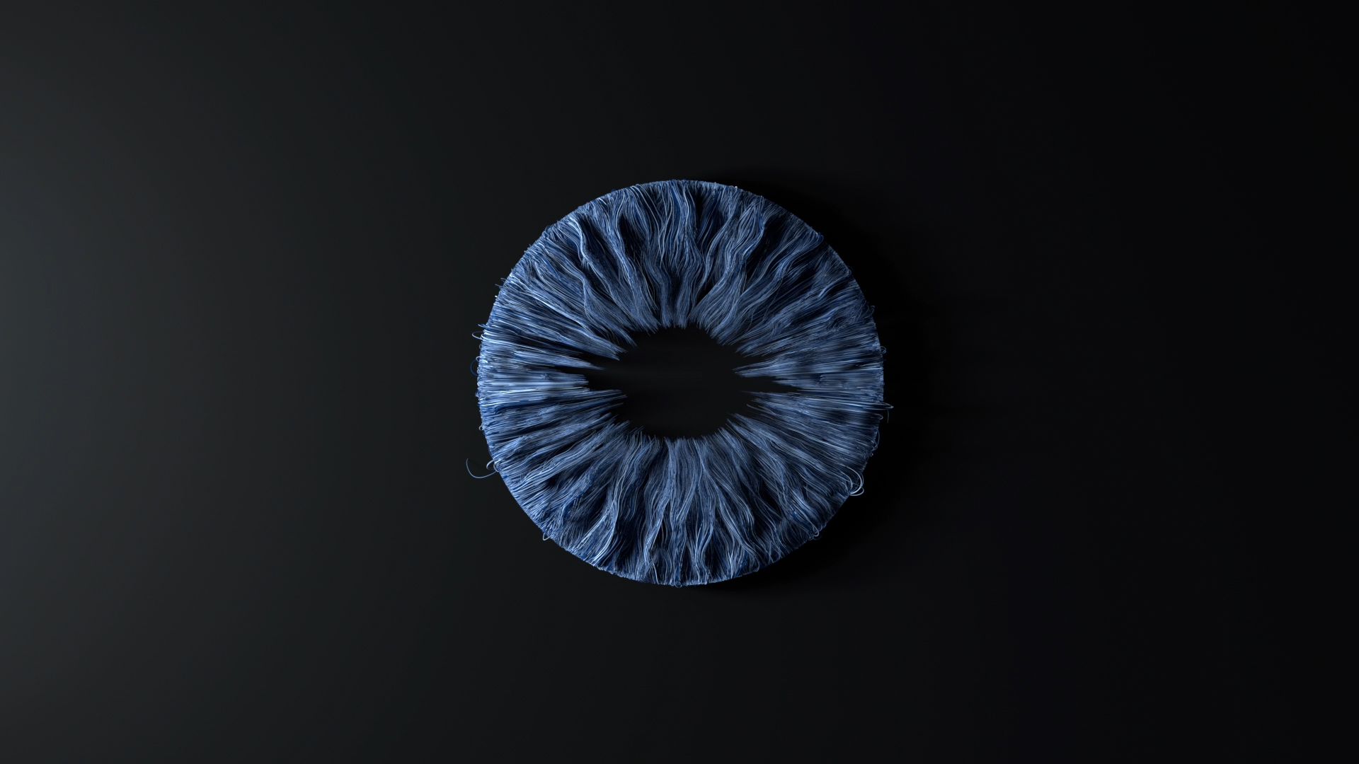 blue_iris_graybg_rev1_thumbnail